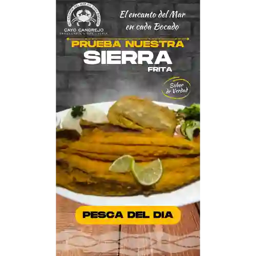 Sierra Pesca Del Dia