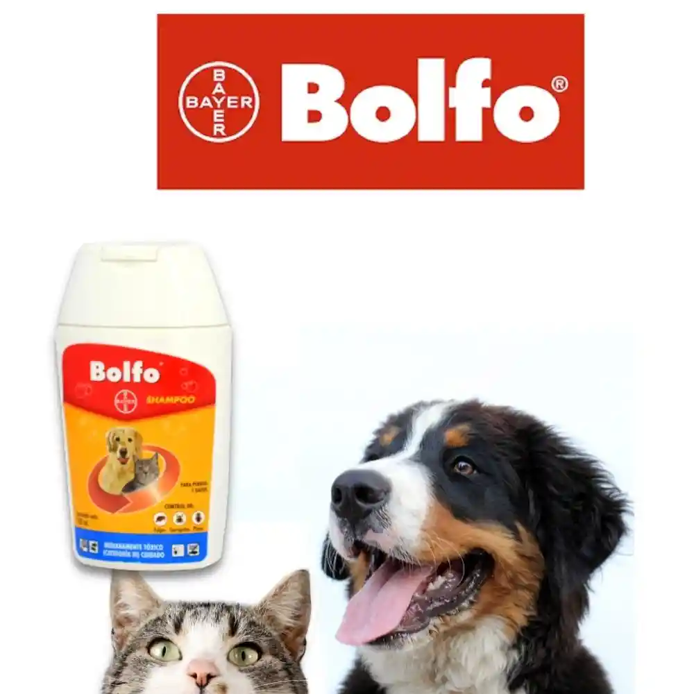 Bolfo Bayer Shampoo 100 Ml
