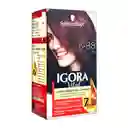 Igora Tintes