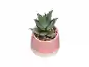 Maceta Cactus Dúo Casaideas