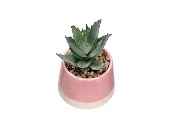Maceta Cactus Dúo Casaideas