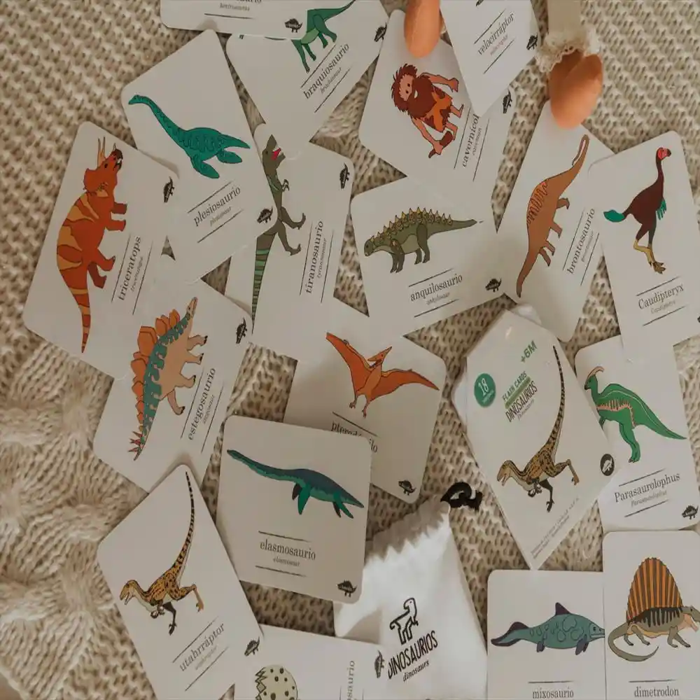 Flash Cards Dinosaurios