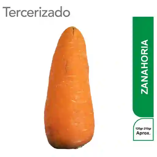 Zanahoria Turbo