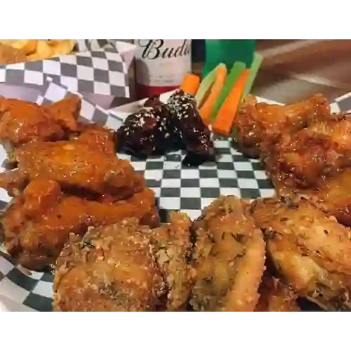 Wings X24