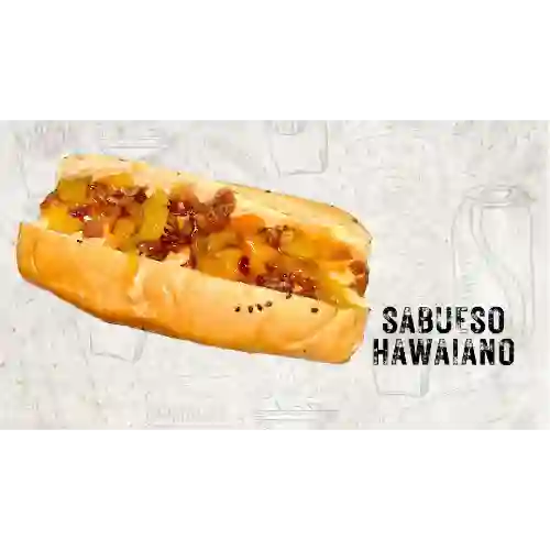 Combo Sabueso Hawaiano