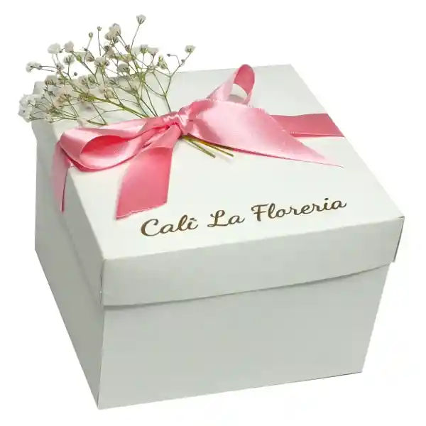 Caja 9 Fresas Rosadas