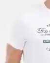 Camiseta Fine Clothing Masculino Blanco 0 Claro T XXL Chevignon