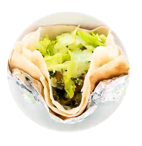 Sandwich Falafel
