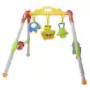 Gimnasio Musical Para Bebe