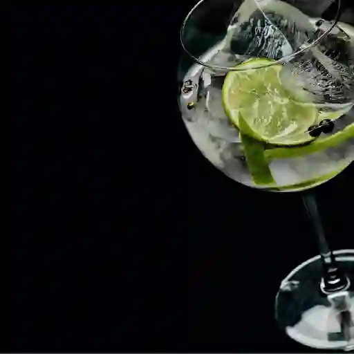 Ginebra Tanqueray Ten