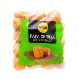 Papa Criolla Seleccionada Éxito   