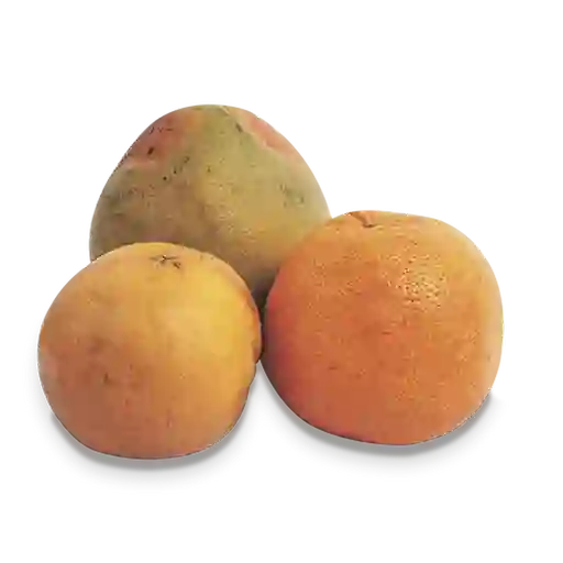 Marca Blanca Naranja Toronja