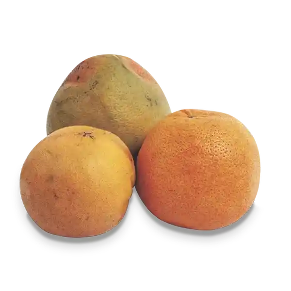 Marca Blanca Naranja Toronja