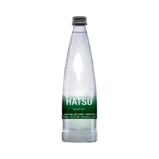 Agua Gas 300ml