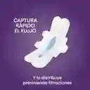 Toalla Femeninas Kotex Nocturna 8 Und