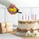 Bic Encendedor ez Reach J38