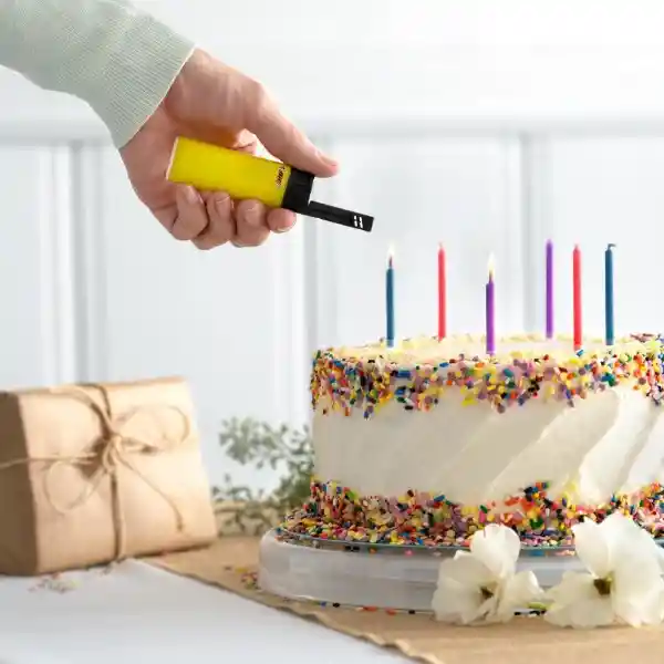 Bic Encendedor ez Reach J38