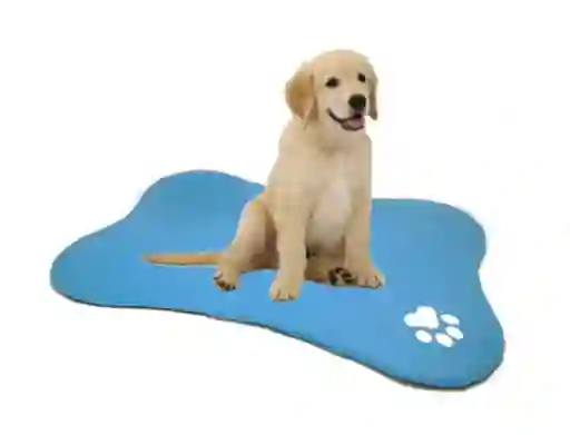 Hally Pets Cama Para Mascotas en Forma de Hueso Celeste E1003