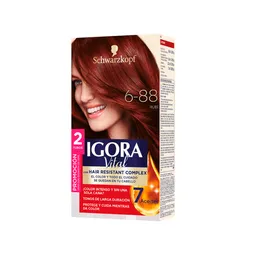 Tinte Igora Vital 6-88 Rubi