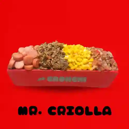 Salchipapa Mr Criolla