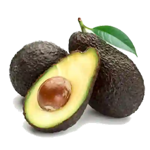 Aguacate Hass