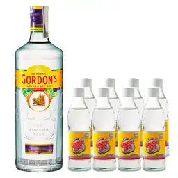 Ginebra Gordons 700 Ml + 8 Canada Dry 0