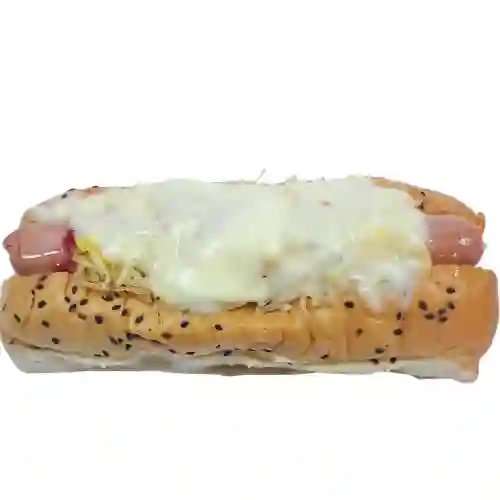 Perro Especial