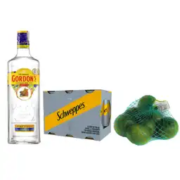 Combo Dry Gordons + Schweppes + Limón Tahití