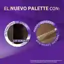 Palette Tinte Intesive Color Creme Tono 6-60 Chocolate Oro 3x Cuidado Anti-Daño