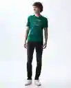 Camiseta Hombre Verde Talla M 841G004_VER195420 Americanino