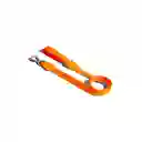 Zeedog Correa Para Perro Neopro Tangerine Talla S