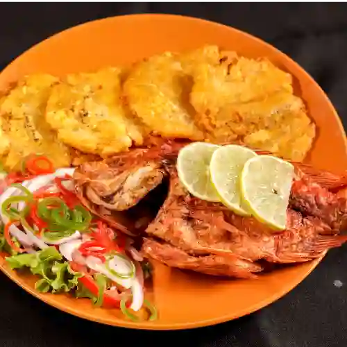 Mojarra Roja Frita 500gr