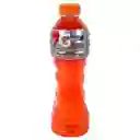 Gatorade Frutas Tropicales Pet x 500 mL