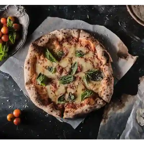 Pizza Margherita