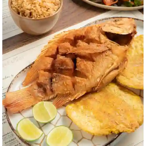Mojarra frita de 500 gr