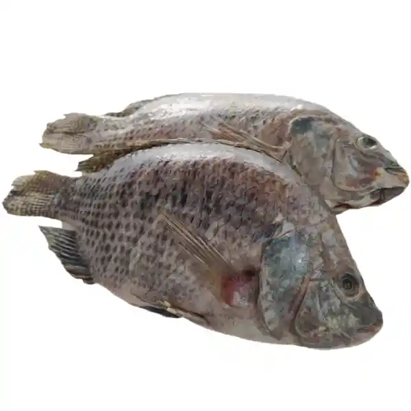 Mojarra Negra