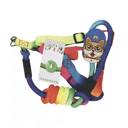 Collar y Correa Arcoíris Talla M