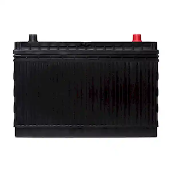 Eveready Batería 31MFS-G FC #116