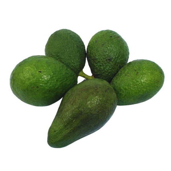 Aguacate Hazz x kg