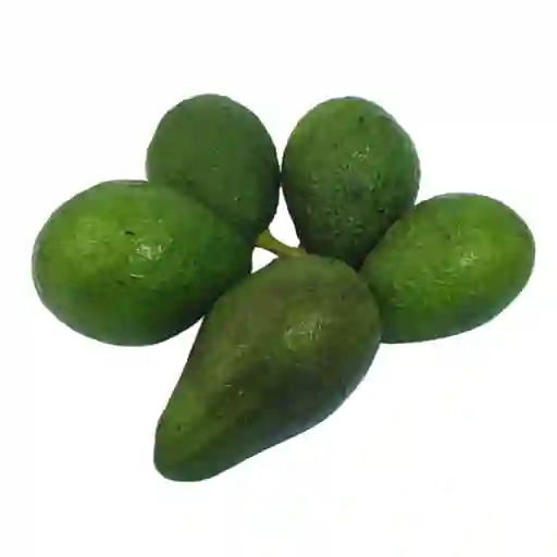 Aguacate Hazz