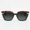 Tiwi Gafas de Sol Hale Diseño Español Carey
