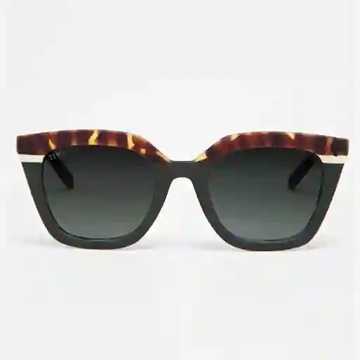 Tiwi Gafas de Sol Hale Diseño Español Carey