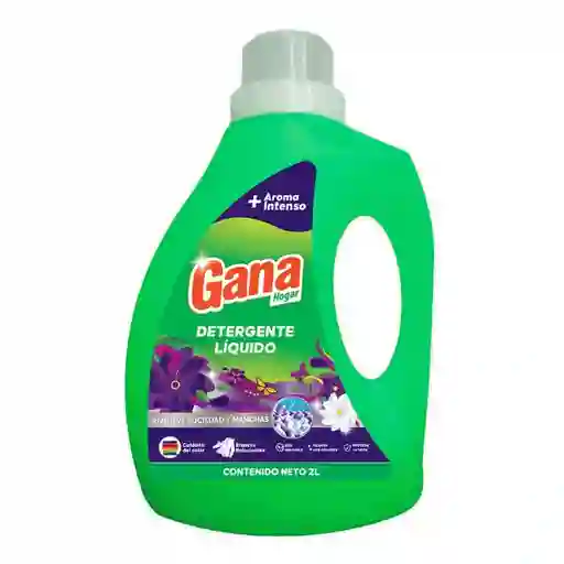 Gana Detergente Liquido Hogar