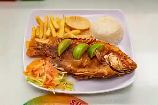 Mojarra