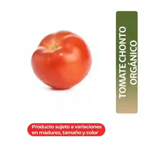 Tomate Chonto Orgánico Taeq