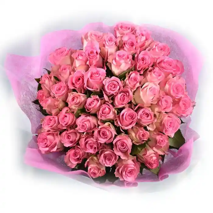 Rosas 40 Cm X 48 Tallos Rosado