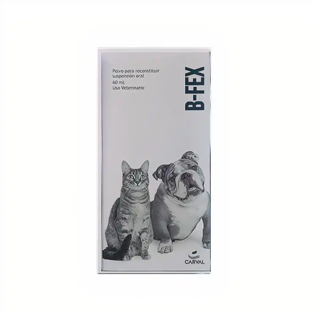 B-Fex Antibiótico (50 mg) Polvo para Reconstituir a Suspensión Oral para Perros y Gatos