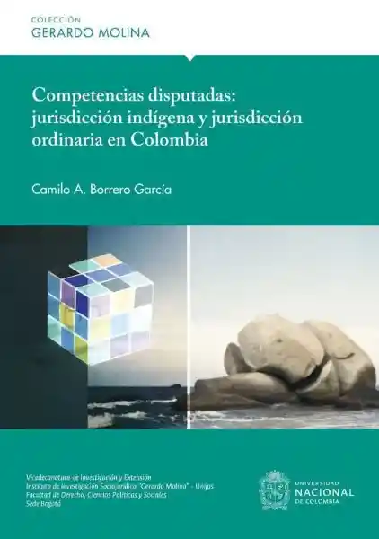Competencias Disputadas - Camilo Alberto Borrero García