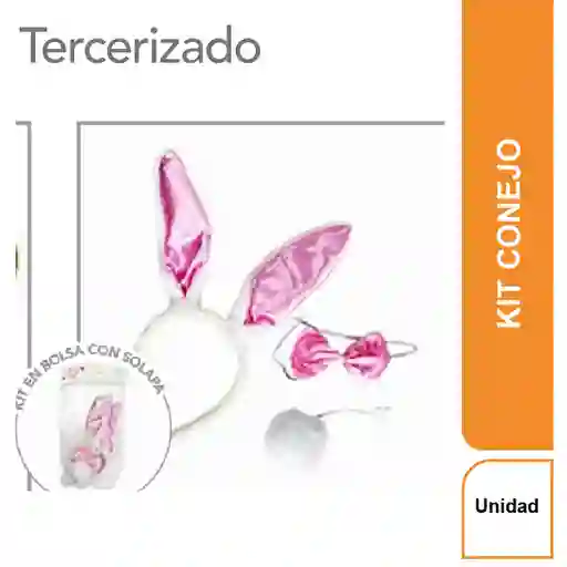 Set Disfraz Conejo