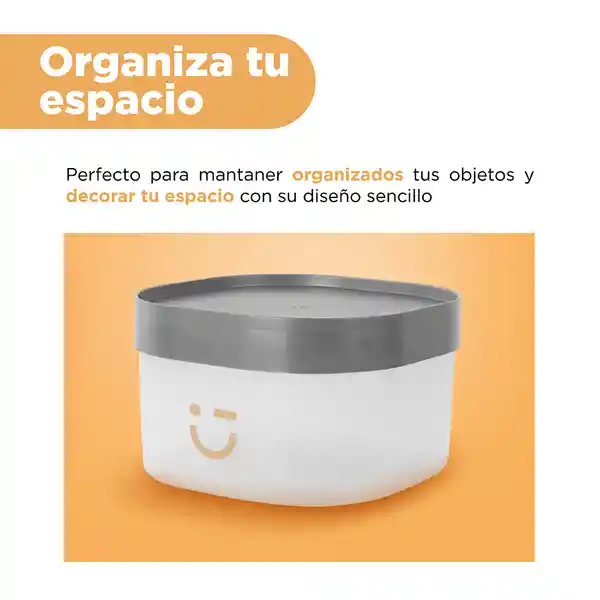 Organizador Plástico Serie Silvery Gray Gris Oscuro Miniso